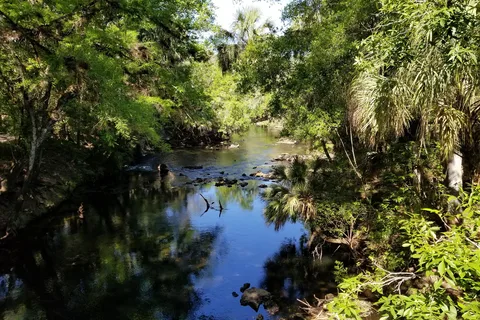 Hillsborough River State Park