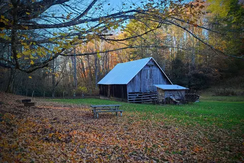 Roan Mountain State Park