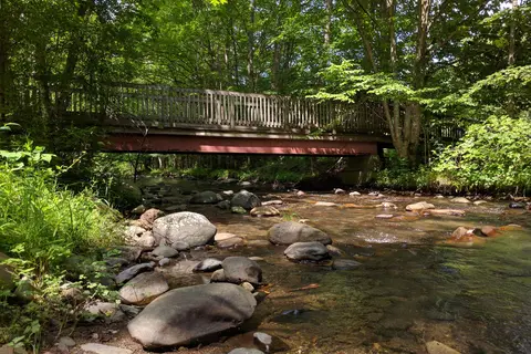 Roan Mountain State Park