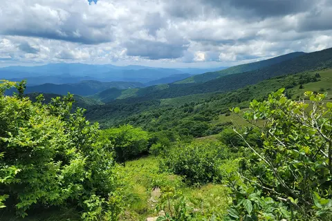 Roan Mountain State Park
