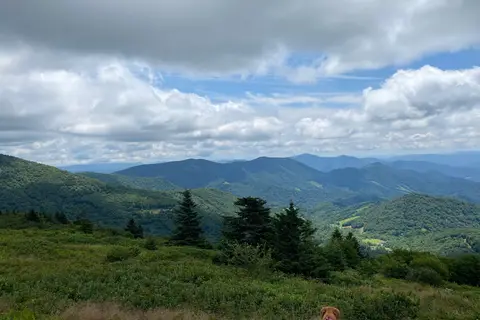 Roan Mountain State Park