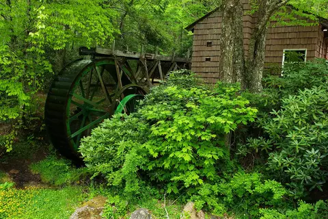 Roan Mountain State Park