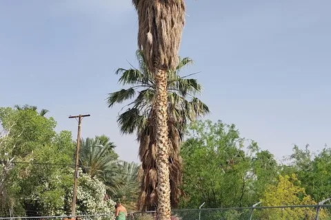 Shoshone RV Park