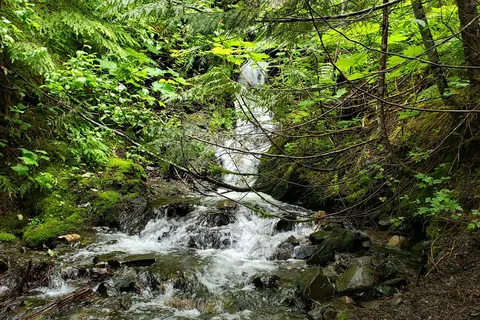 Summit Lake Provincial Park