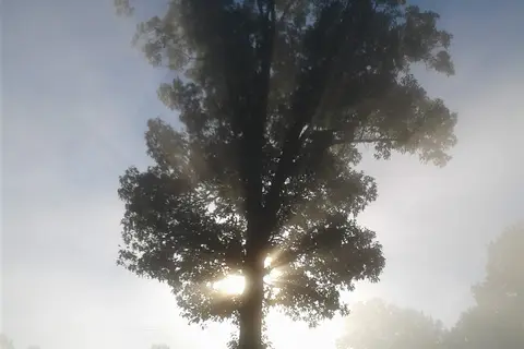 Shawnee Forest Campground