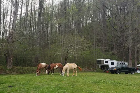 Big Creek Horse Camp - Great Smoky Mountains National Park