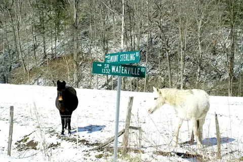 Big Creek Horse Camp - Great Smoky Mountains National Park