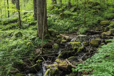 Big Creek Horse Camp - Great Smoky Mountains National Park