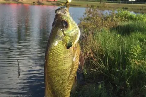 Turtle Lake RV Park