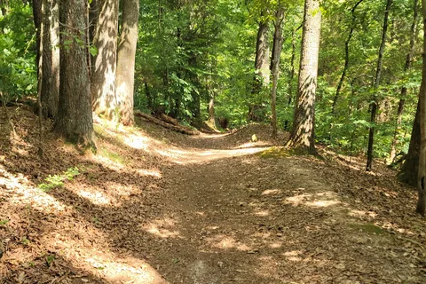 Warriors' Path State Park