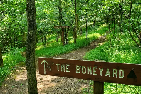 Warriors' Path State Park