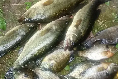 Three Seasons Campground