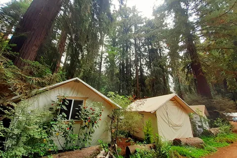 Fernwood Resort