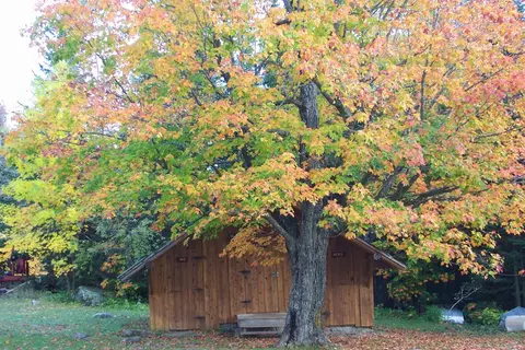 Crooked Lake Resort