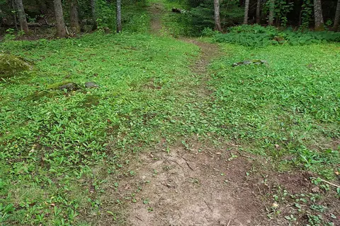 Crooked Lake Resort