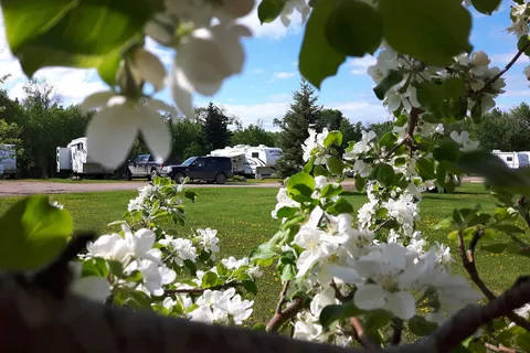 RunWay RV Park