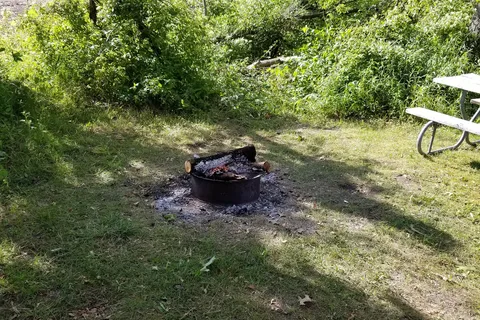 Covered Wagon Camp Resort