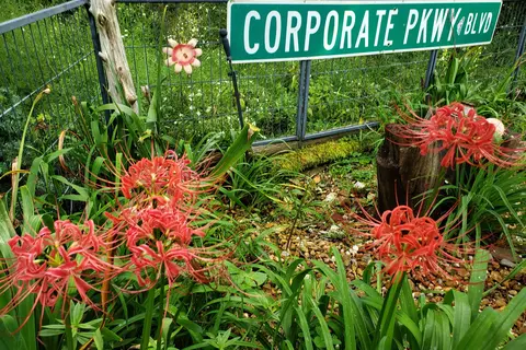 Little Eagle RV Park