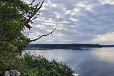 Camano Island State Park