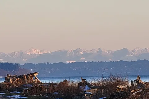 Camano Island State Park