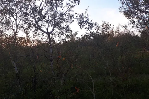 Dillberry Lake Provincial Park