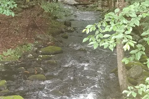 Alps Family Campground Inc