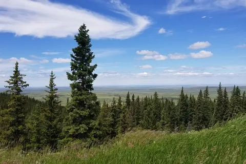 Lodgepole - Cypress Hills Interprovincial Park - Alberta