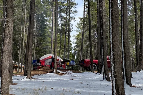 Lodgepole - Cypress Hills Interprovincial Park - Alberta