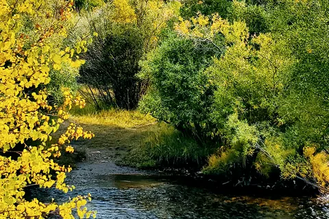 Creekside RV Park
