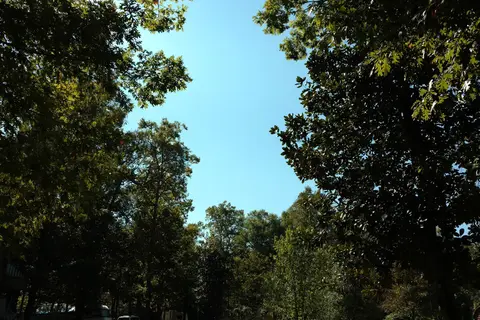 Triple Creek RV Music Park