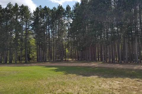 Buckhorn Campground Resort