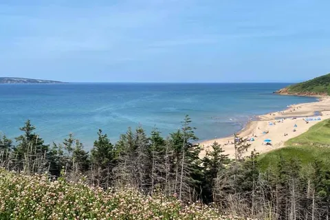Mac Leods Beach Campsite