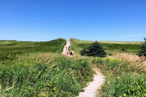Mac Leods Beach Campsite