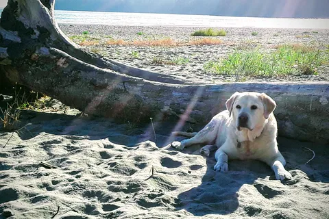Pachena Bay Campground