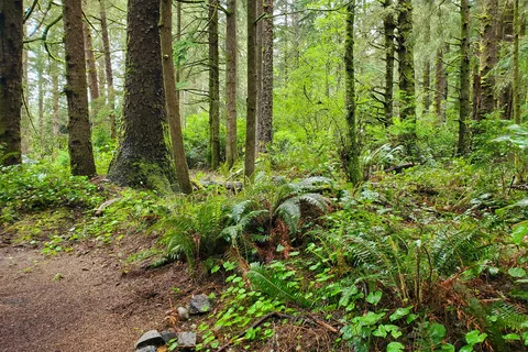 Pachena Bay Campground