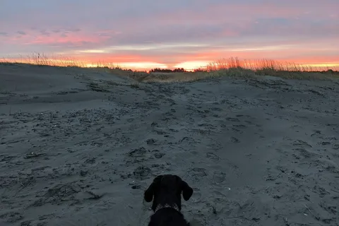 Cedar to Surf Campground