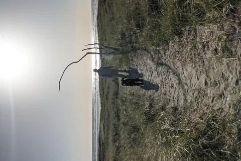 Cedar to Surf Campground