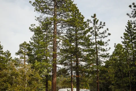 Idyllwild RV Resort