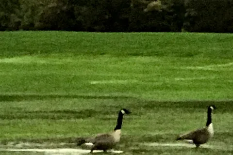 Lake of Dreams Campground