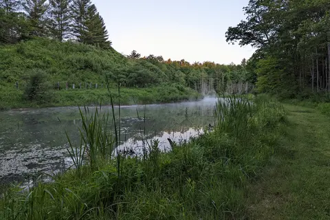 CoolWater on the Pine River