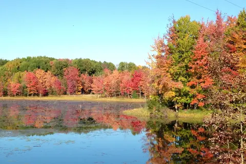 CoolWater on the Pine River