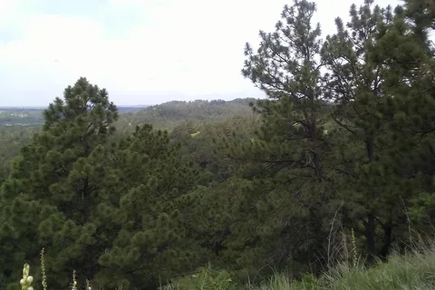 Sharps Campground