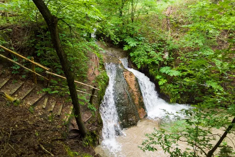 Sharps Campground