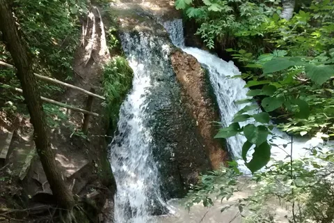 Sharps Campground