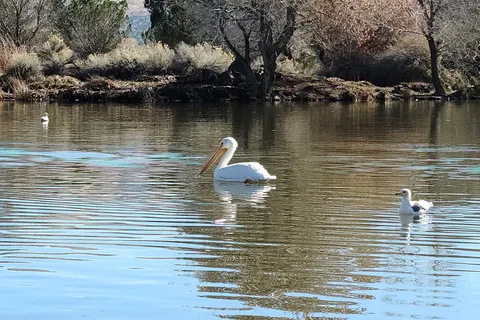 Hesperia Lake Park