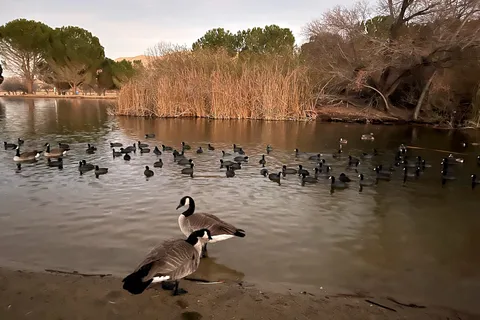 Hesperia Lake Park