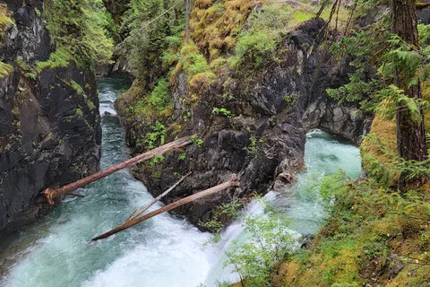 Little Qualicum Falls Provincial Park
