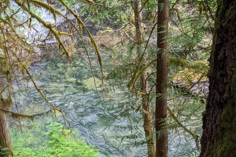 Little Qualicum Falls Provincial Park