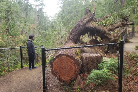 Little Qualicum Falls Provincial Park