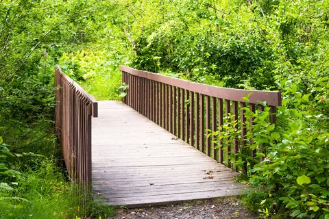 Montana Creek State Recreation Site